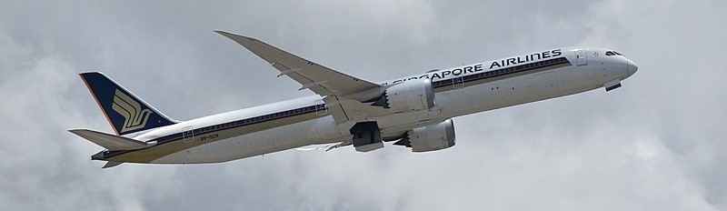 787 Singapore at HK wiki commons Credit Dltl2010 trimmed